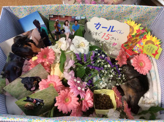 141209 葬儀.jpg