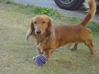 2004 12 ボール遊び 001.jpg