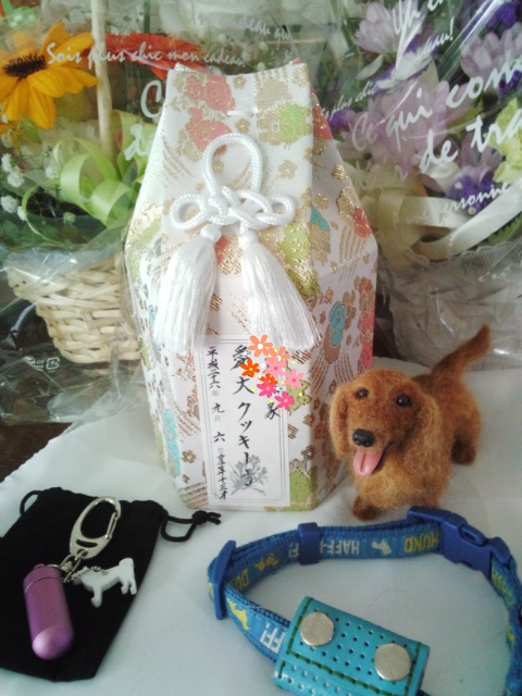 2014-09-07-16-57-53_deco.jpg