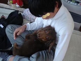 bonnbori 001kai.jpg