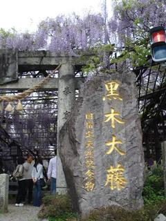 fuji 007kai.jpg