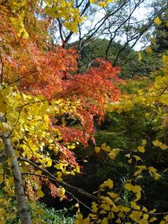 koishiwara 022kai.jpg