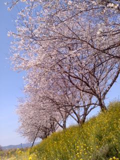 110406_1338~01.jpg