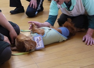 2014 2月 さざんか園3.jpg