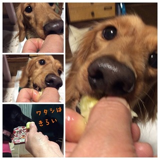 20150112214300917 kai.jpg