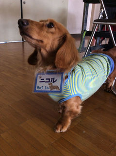 2015 2月 中広川小1.jpg