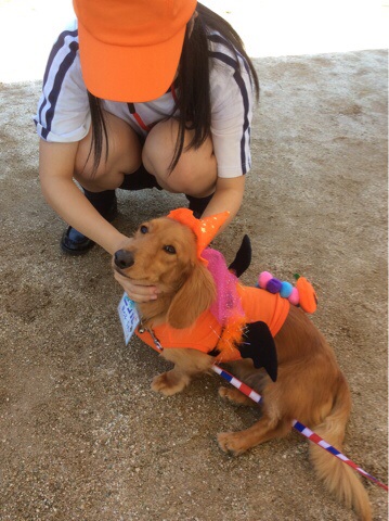 image.jpg